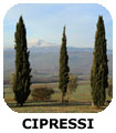 CIPRESSI